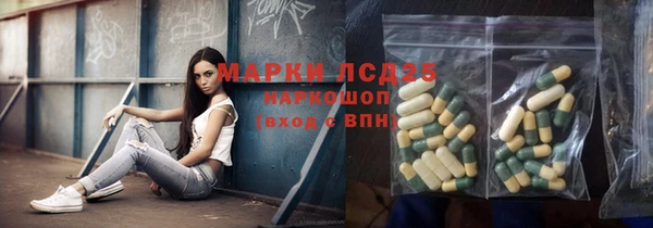 крисы Абаза