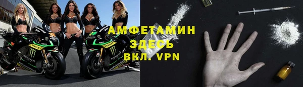 крисы Абаза