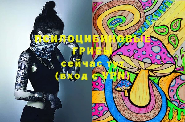 крисы Абаза