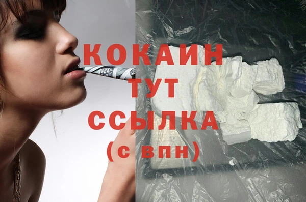 крисы Абаза